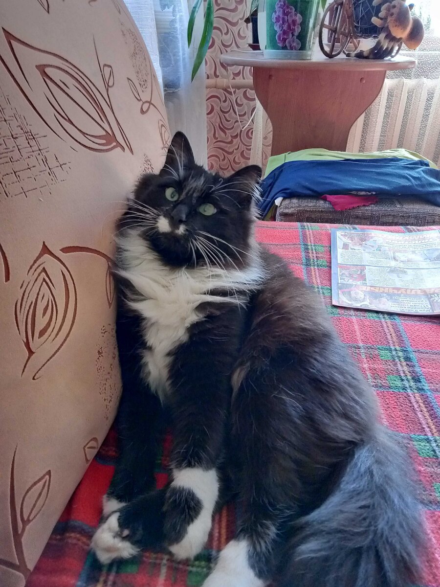 Главный бандит