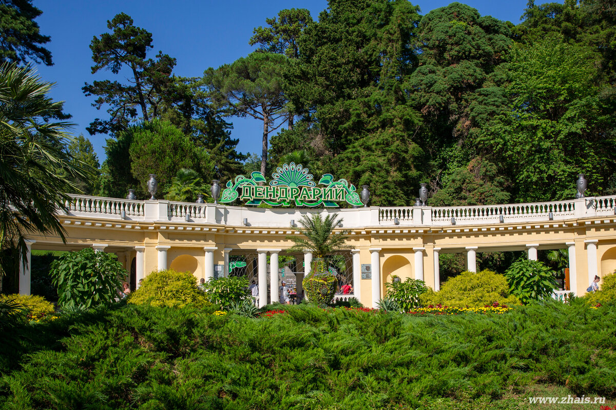 Сочинский "Дендрарий"