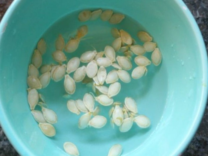 Зачем и как barboteuse перед посадкой семена: полезные советы