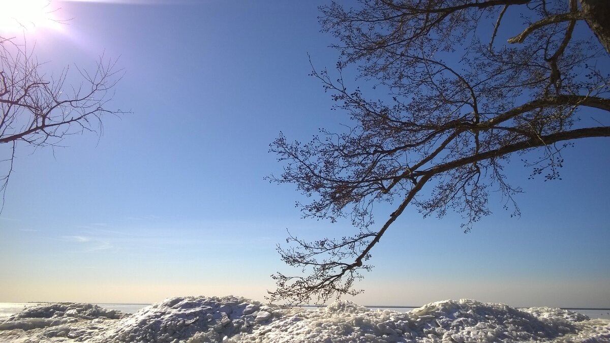 Репино, Санкт-Петербург, 2015 г.