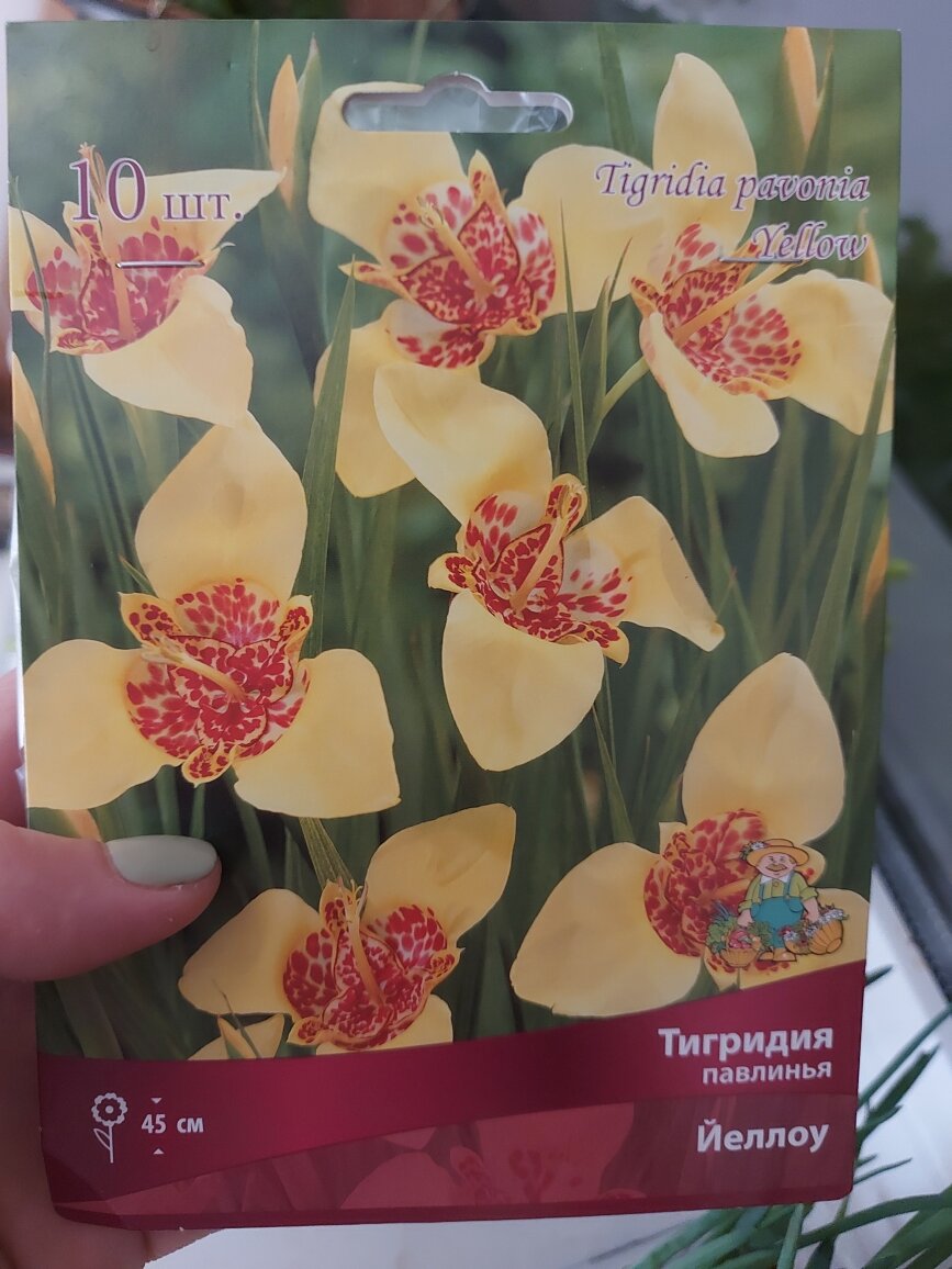 фото автора канала