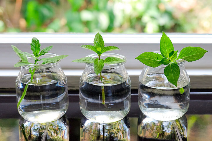 Фото  из  интернета.  