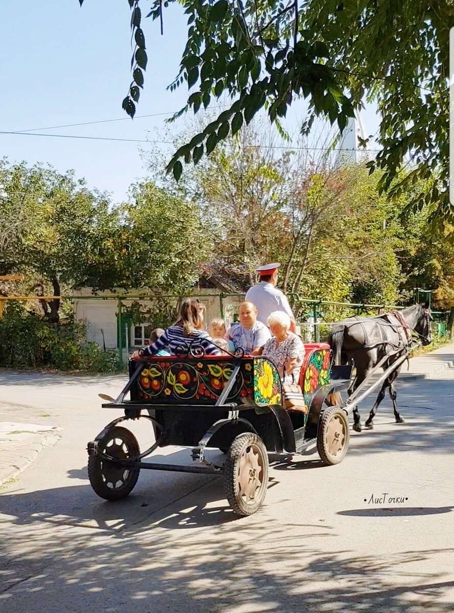 Местное «такси». Фото: •ЛисТочки•