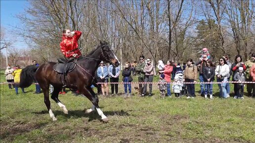 🌞Коней на переправе меняют! Молодой жеребец упрямился и не хотел выступать, пришлось его поменять