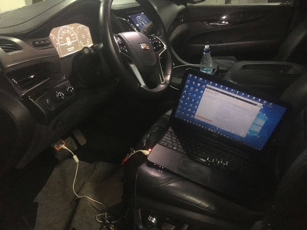 Фото автора