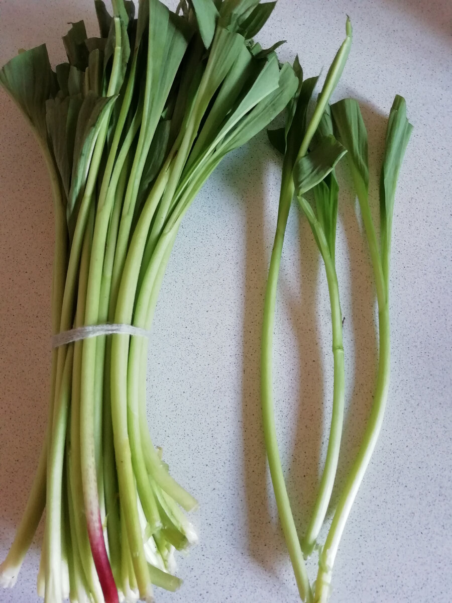 КолбА во всей красе. Фото автора. 