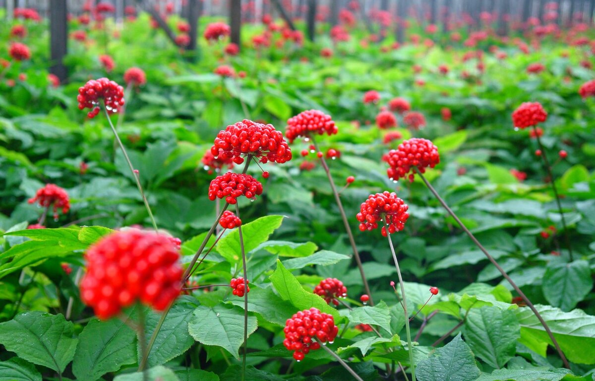 Фото с сайта kipmu.ru