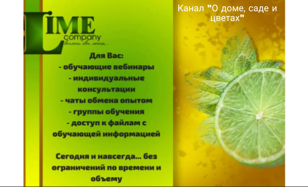 Все для партнеров. Фото автора