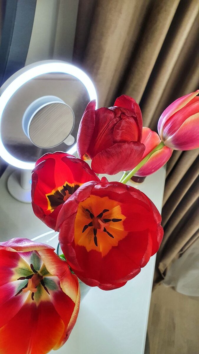 Цветы на туалетном столике