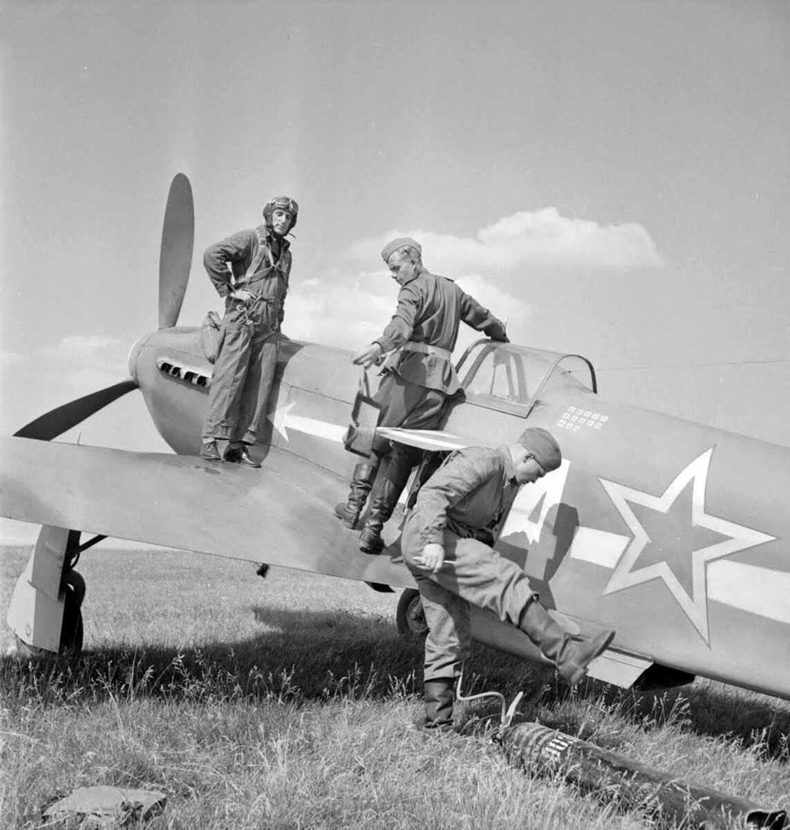 фото взято из открытых источников.