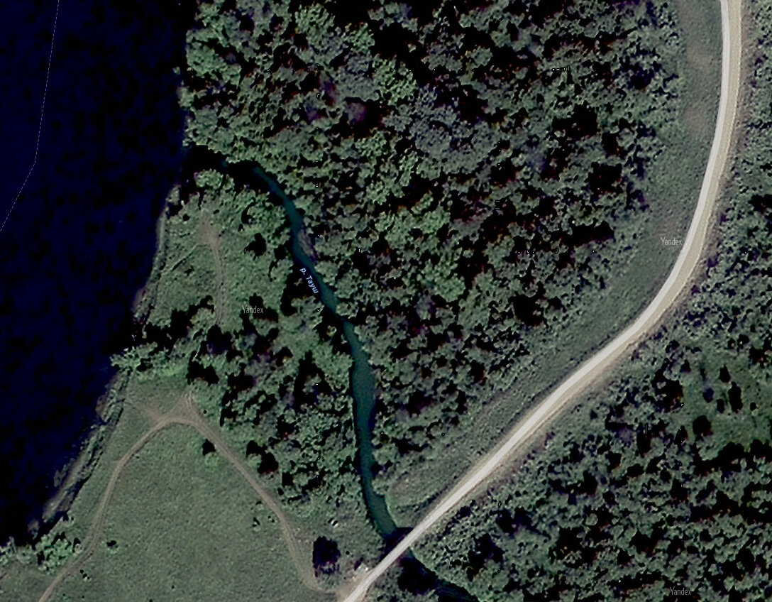 Устье р. Тауш 