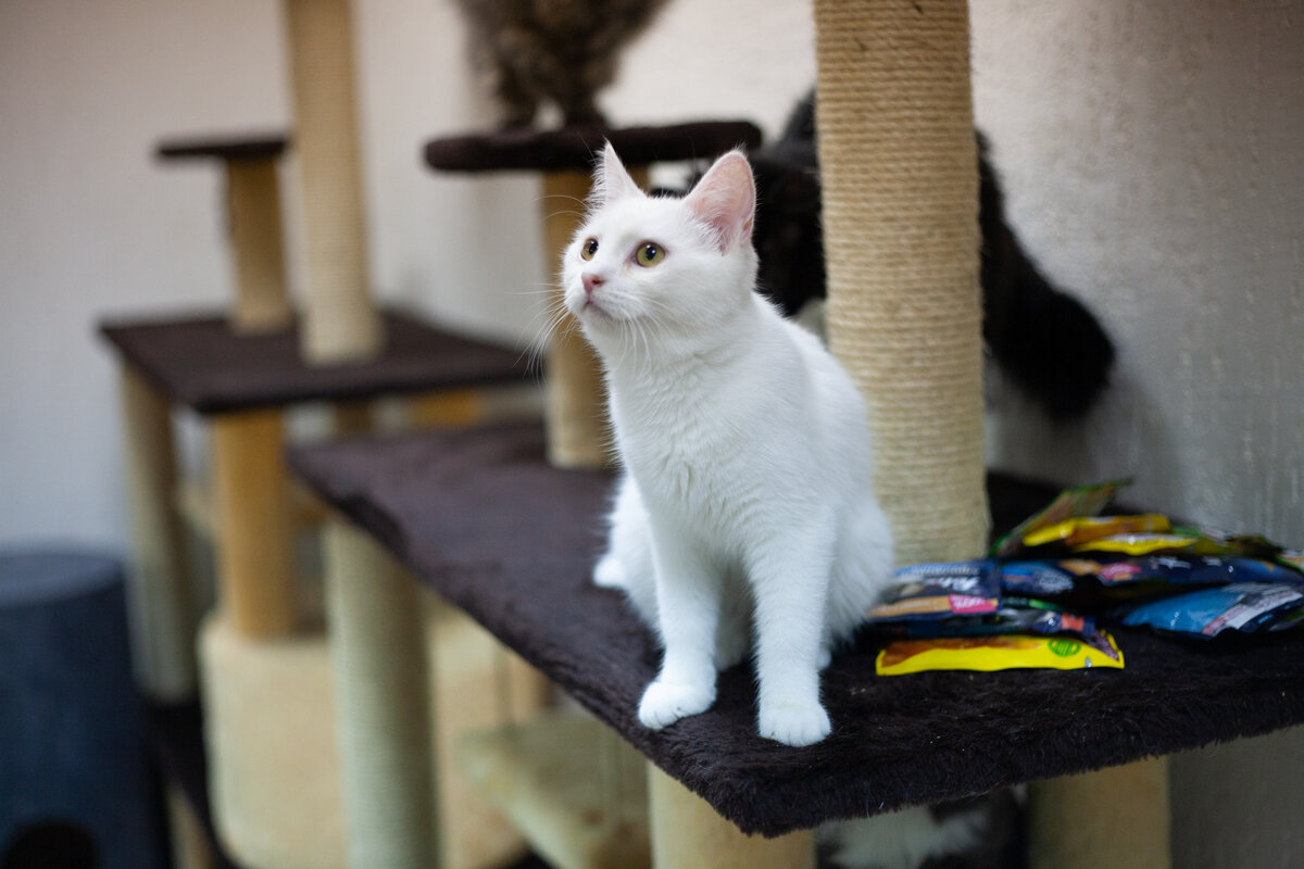 Стелла очень любопытная девочка