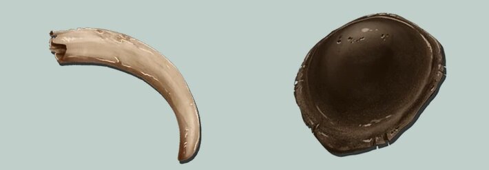 Кератин и Хитин в игре ARK: Survival Evolved