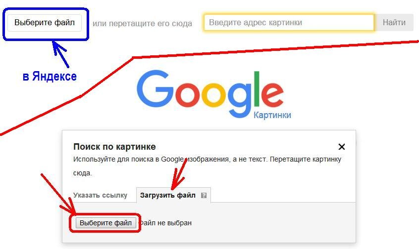 Как найти своего двойника? [ или ] Как найти человека по фото? | Пикабу