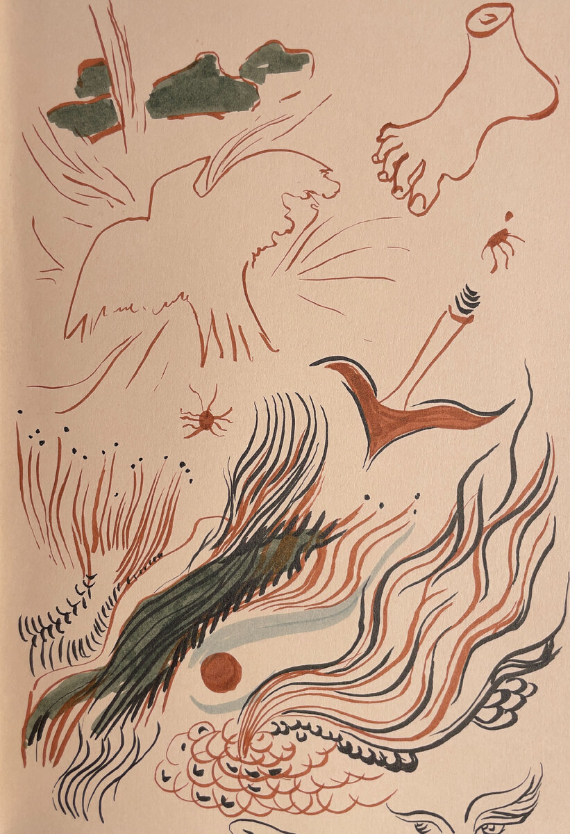 Эскизы Лизы Бобковой для Дома Матюшина. Графика.