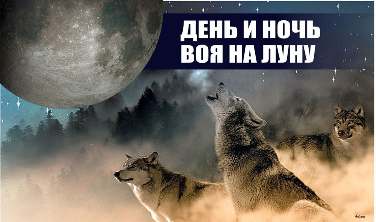 День и ночь воя на луну. Иллюстрация: «Курьер.Среда»