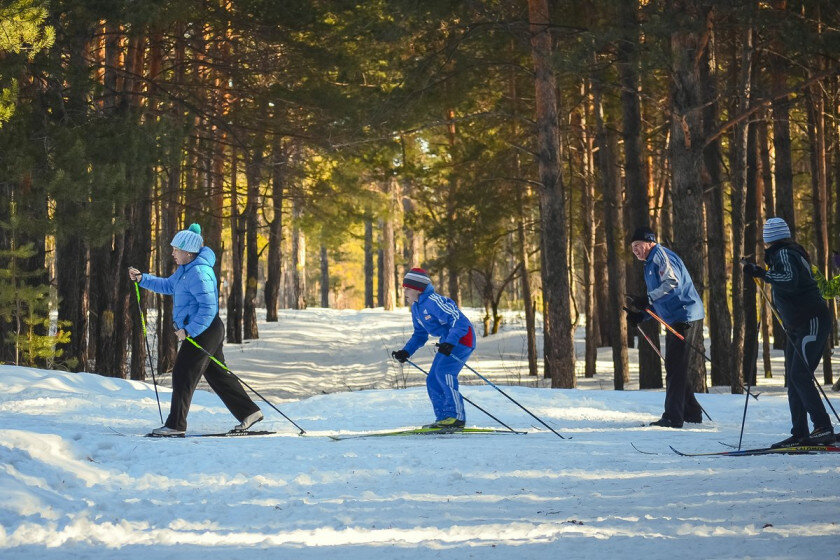 Где на них в Петербурге и области, взять беговые лыжи напрокат и покататься.