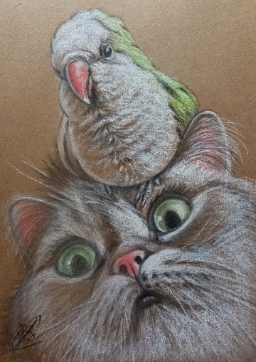 Источник изображения: https://vk.com/id5973829