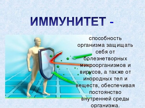 Иммунитет проект 9 класс