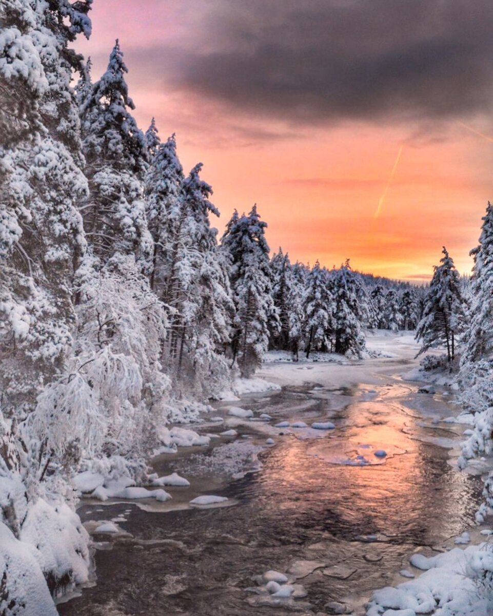 Яндекс.Картинки