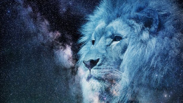 Лев Гороскоп на 2023 год