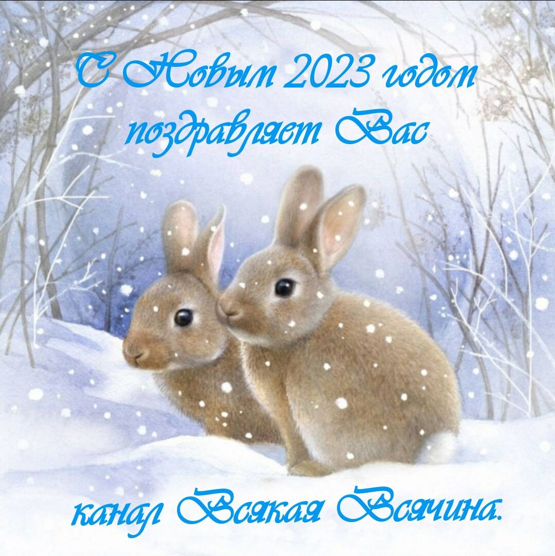 Заимствовано из вайбера, подписано лично нами.