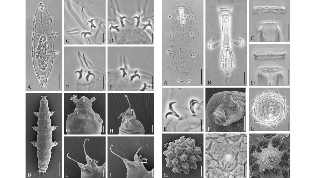    Фото: пресс-служба СПбГУ