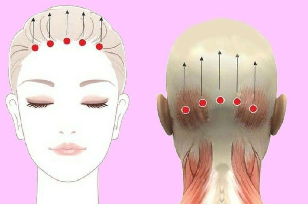 Правильный затылок. Массажные линии волосистой части головы. Точки на лице для массажа. Массаж головы линии. Массаж затылка.