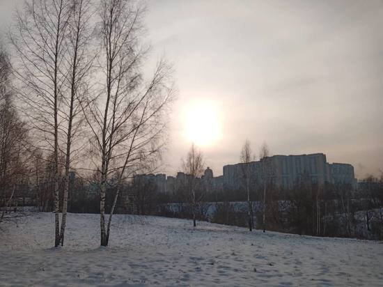     Фото: МК в туле