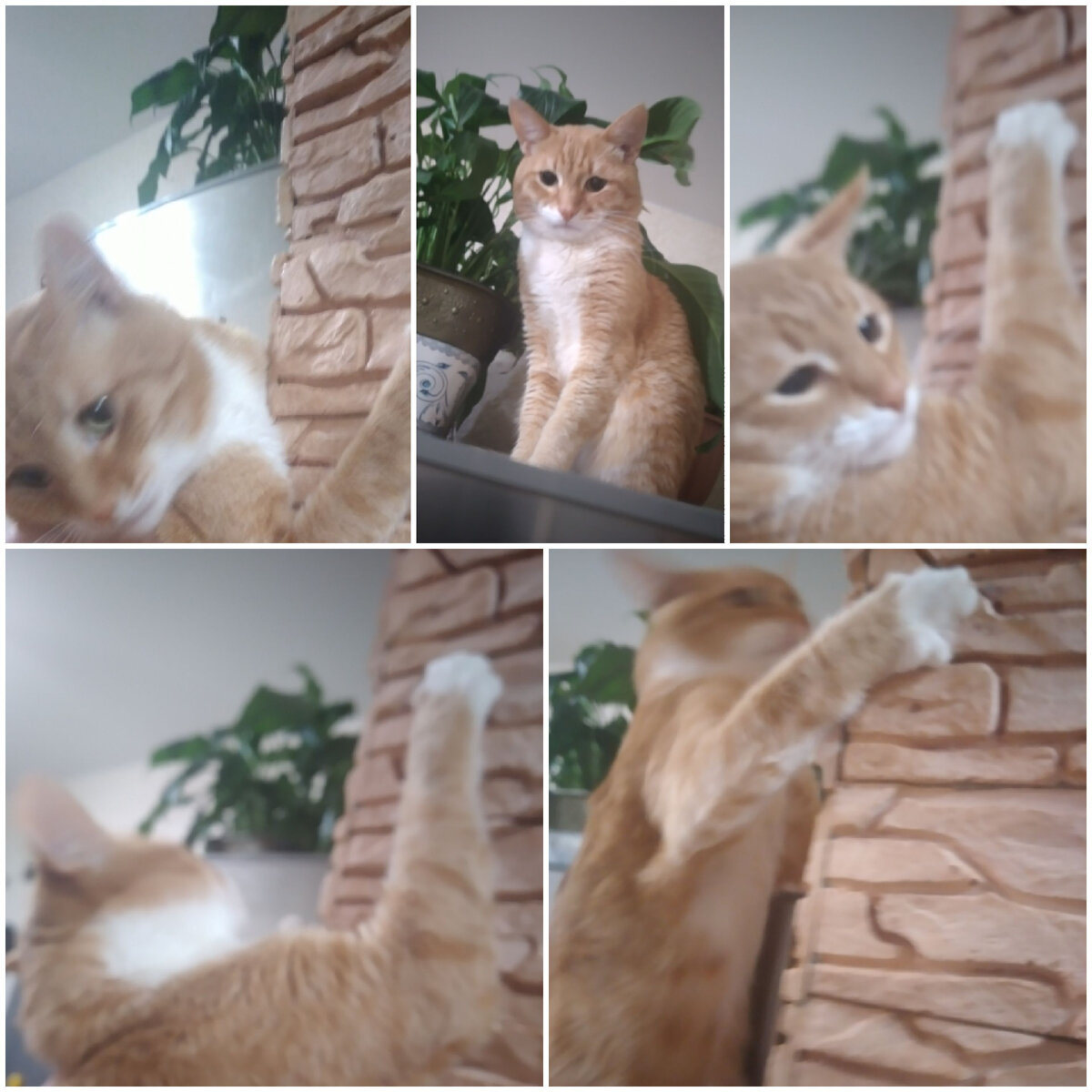 Личное фото автора Bahtysha. 