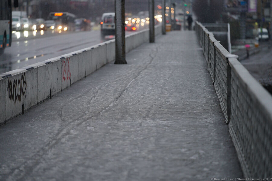 Фото: Виталий Невар / Новый Калининград