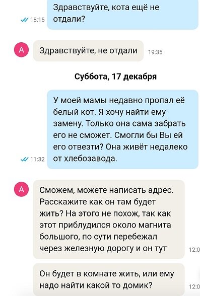 Переписка мужа с дарителем кота.