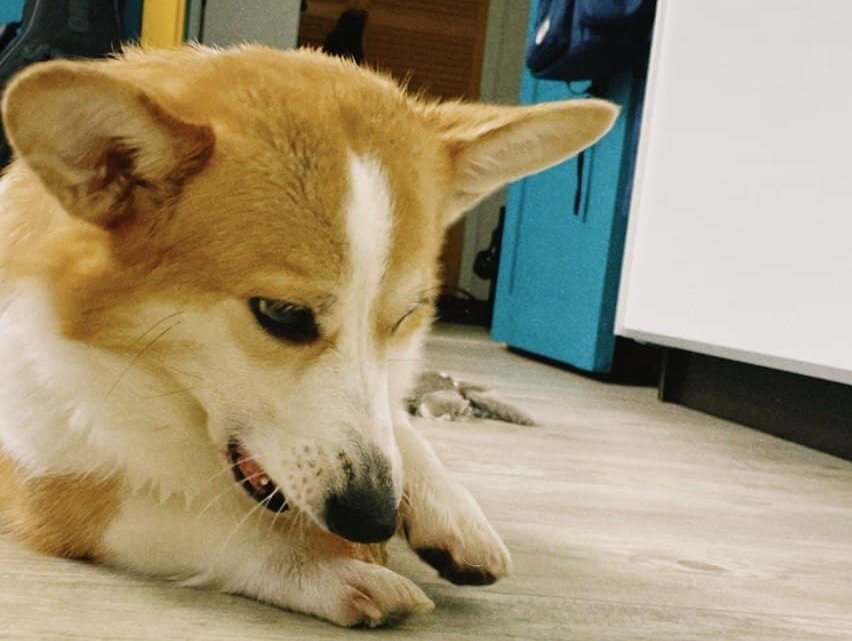 Да кому нужны все эти ваши прогулки?! Ишь что придумали!