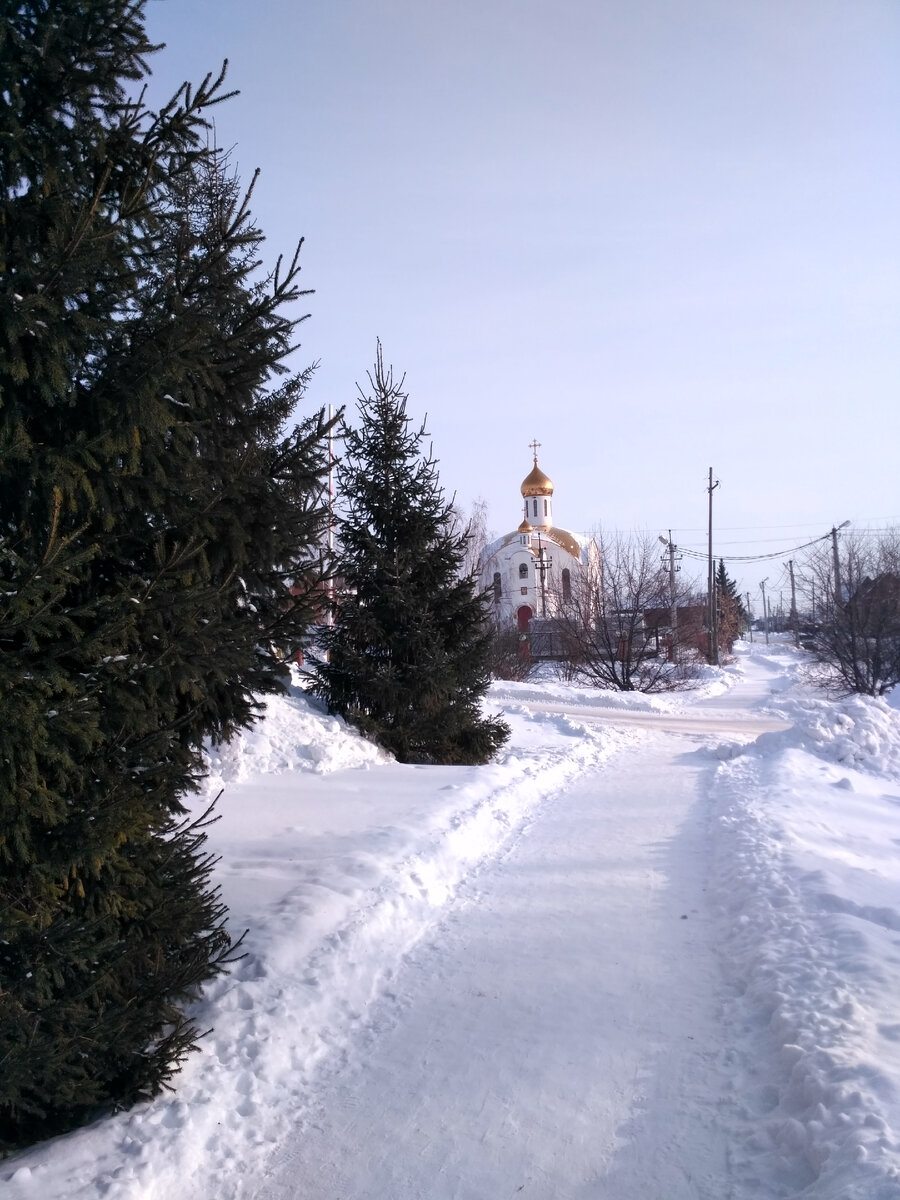 Вот, извольте посмотреть — зима самая настоящая.