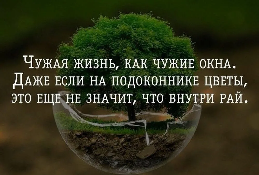 Чуждая жизнь. Чужая жизнь афоризмы. Чужая жизнь цитаты. Мир внутри цитаты. Философия жизни цитаты.