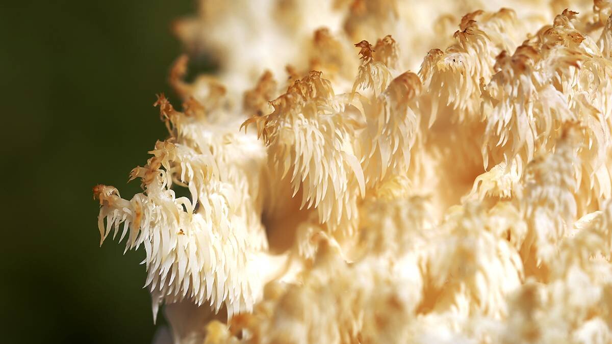    Фото: shutterstock