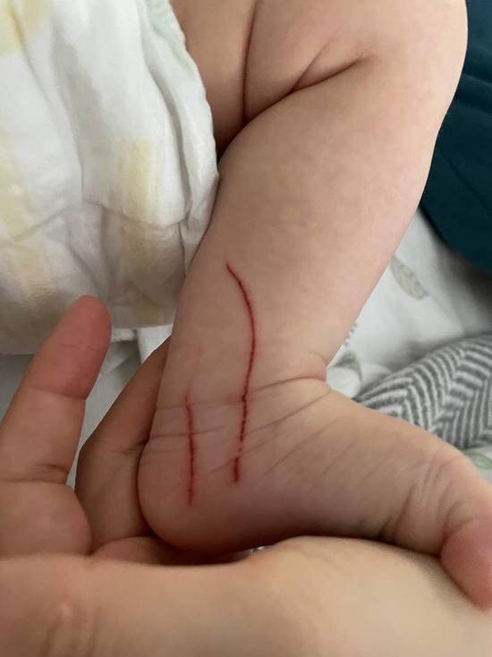     ФОТО: Telegram канал Дмитрий Артюхов