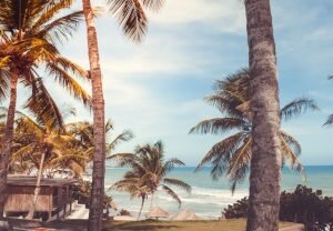    Фото: unsplash.com / Martha Dominguez de Gouveia Гульназ Астахова