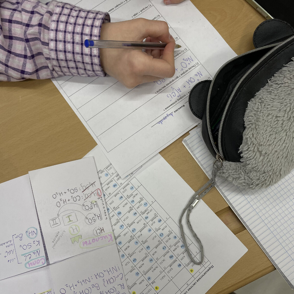 Прекрасное время: ученик знает, где найти ответы