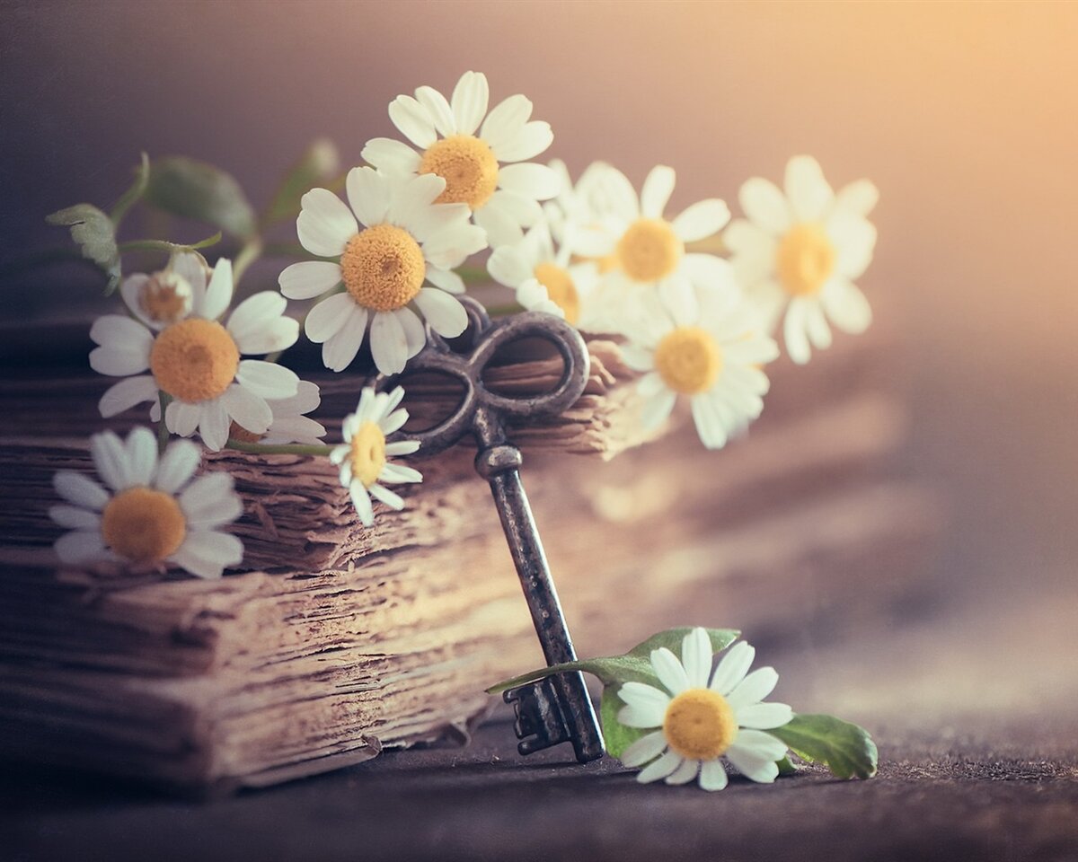 Изображение взято из открытых источников