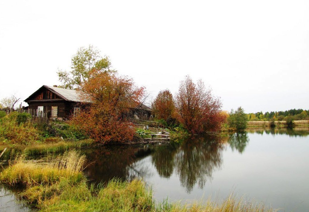 Это дом Витьки на берегу нашего пруда, в котором он давно уже не живёт. Яндекс-фото
