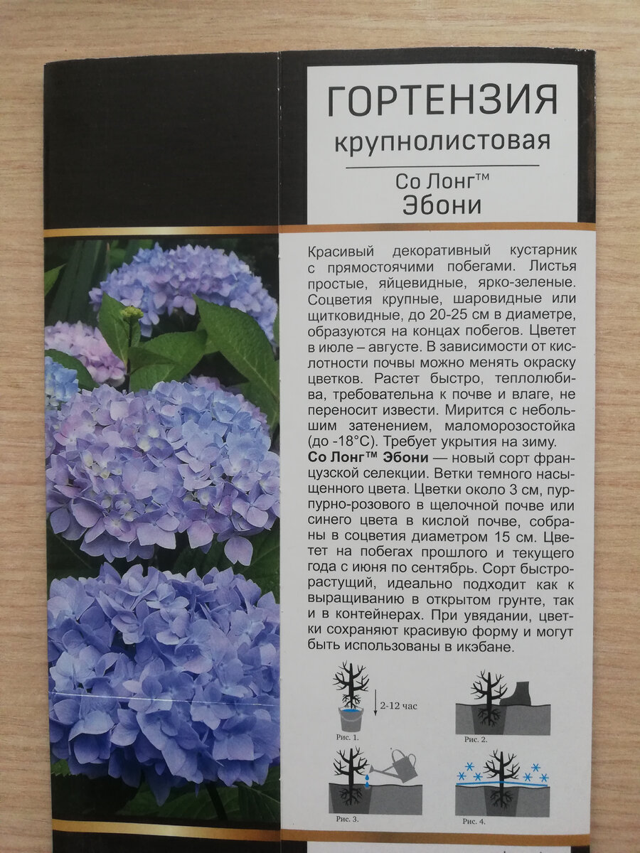 Это коробка от моего саженца. В принципе, описание совпадает.