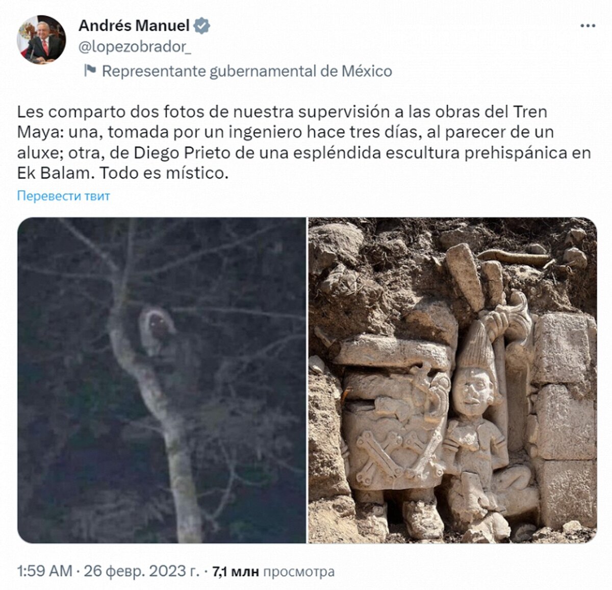    Фото: Твиттер / @lopezobrador_