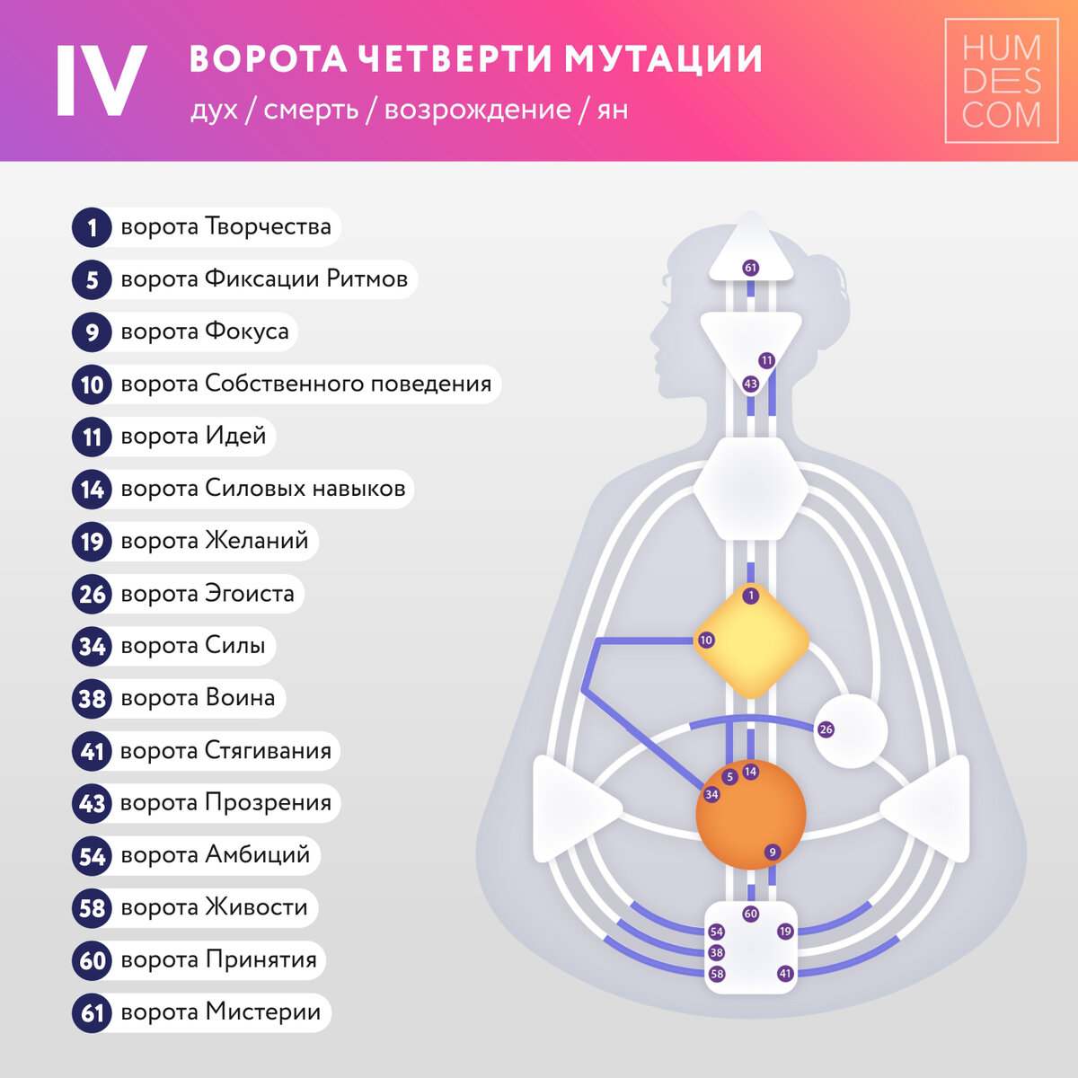 Ворота в Дизайне Человека