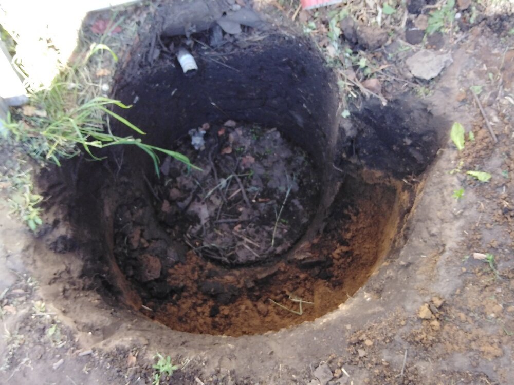 Сливная гофрированная трубка.