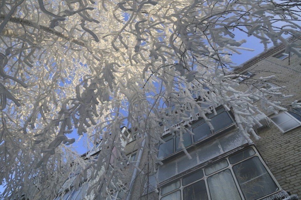     Фото: архив "КП"