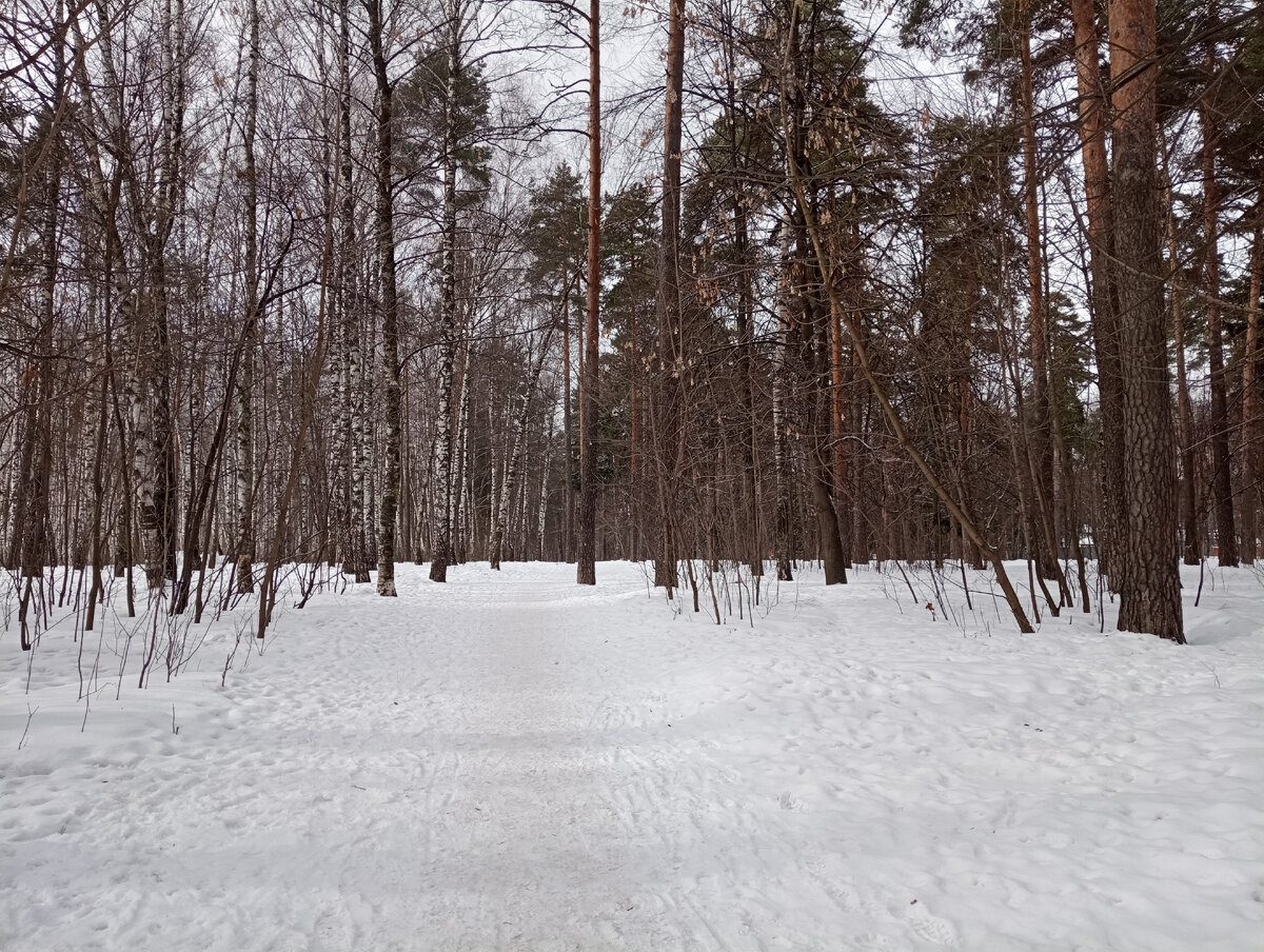 Даже солнышко пробивалось!