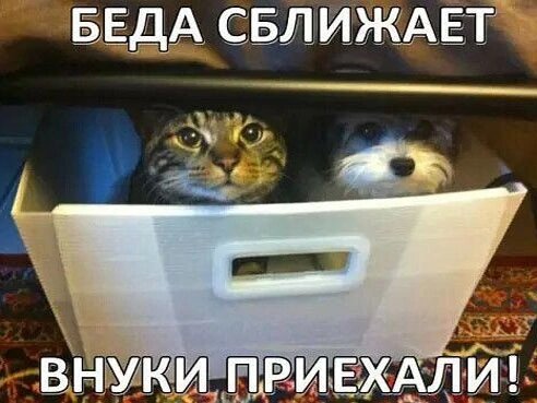 Посмеялся сам - поделись с другом!!!