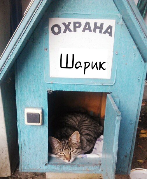 Источник: Яндекс картинки