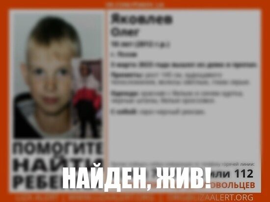     Фото: поисковый отряд "ЛизаАлерт"